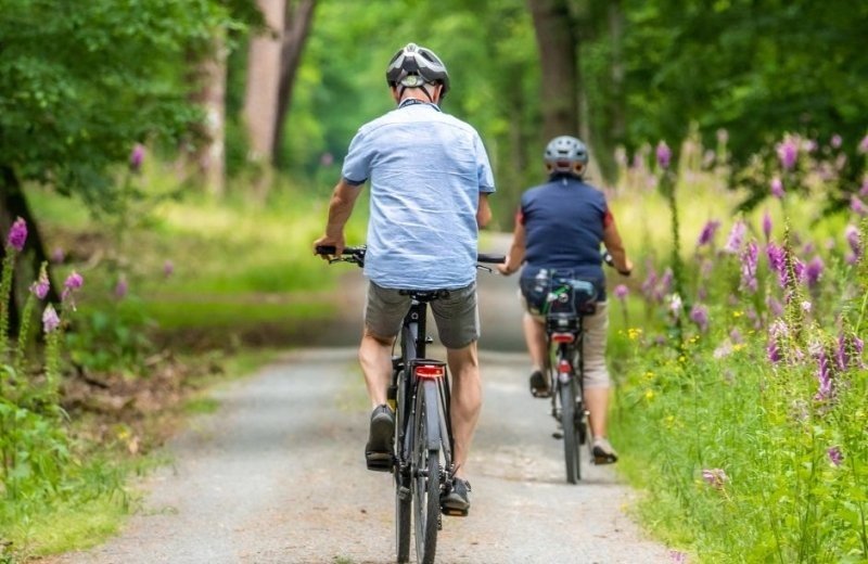 Utrechtse heuvelrug fietsen